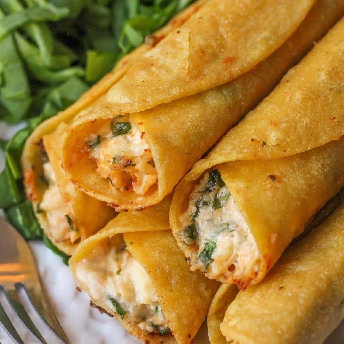 creamy-cheese-chicken-taquitos-final-3-e1639136030716